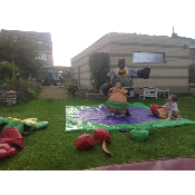 Sumo Wrestling Large